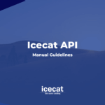 API Manual Guideline