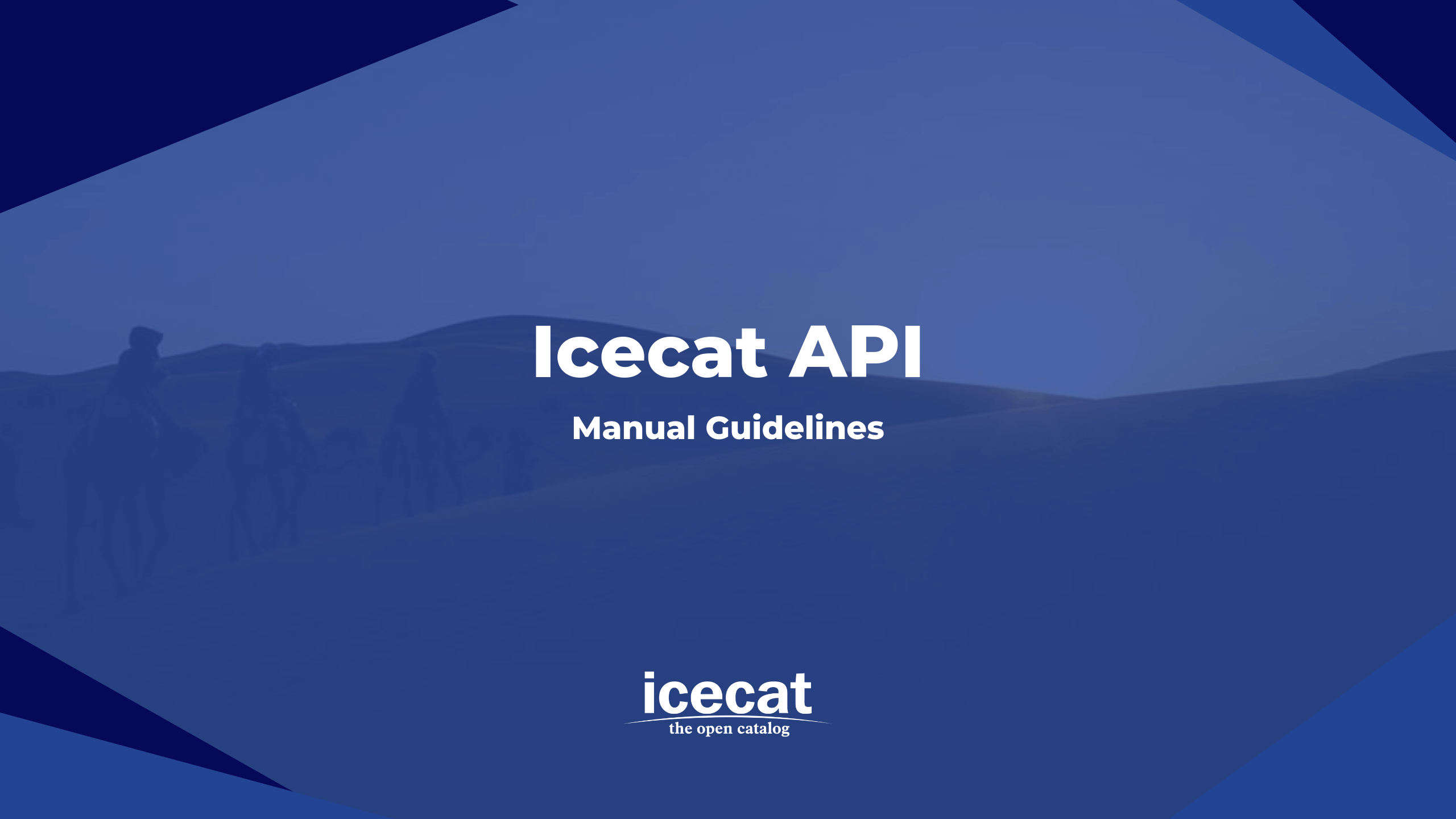 API Manual Guideline