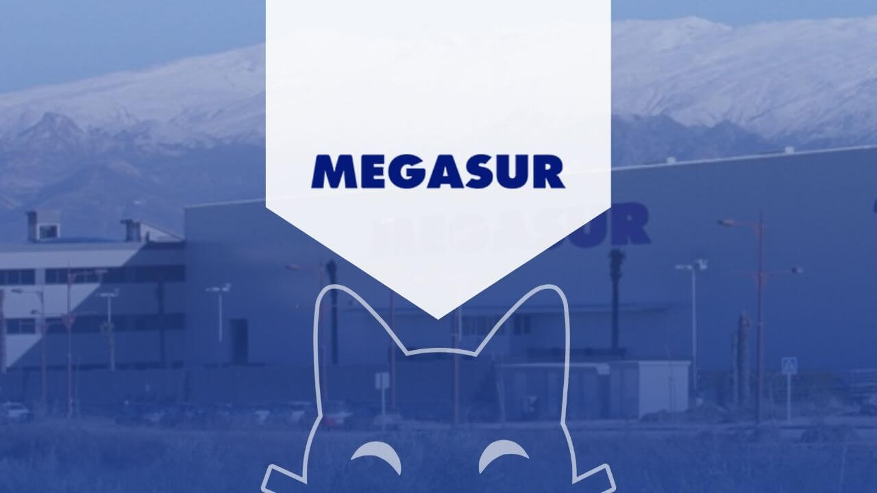 Megasur opens platform