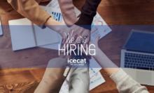job offers at Icecat