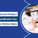How The Icecat Product Content Syndicator Can Boost Your Online Sales