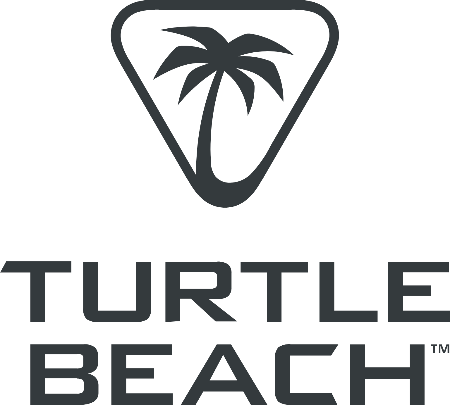 Turtle Beach
