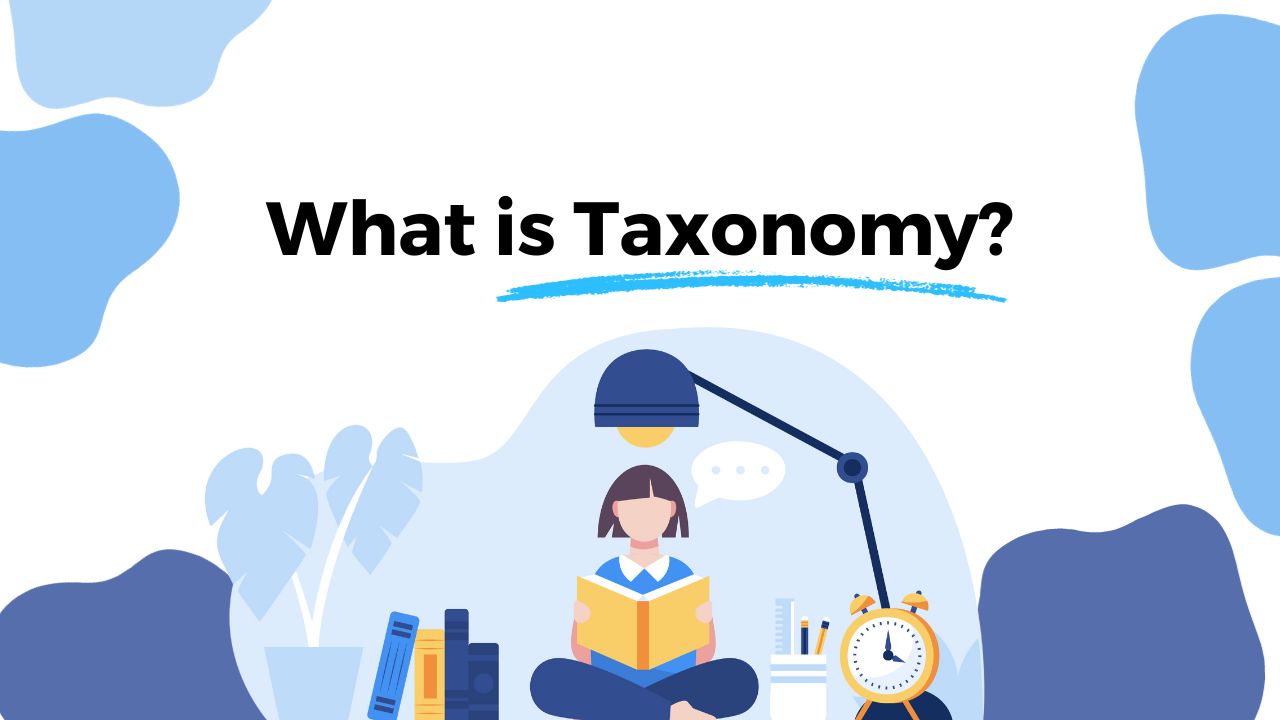 What is Taxonomy