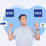 erp vs pim