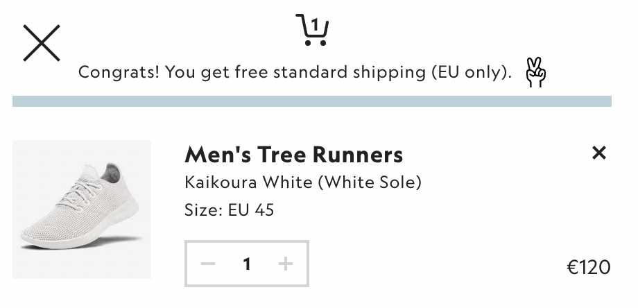 Allbirds checkout