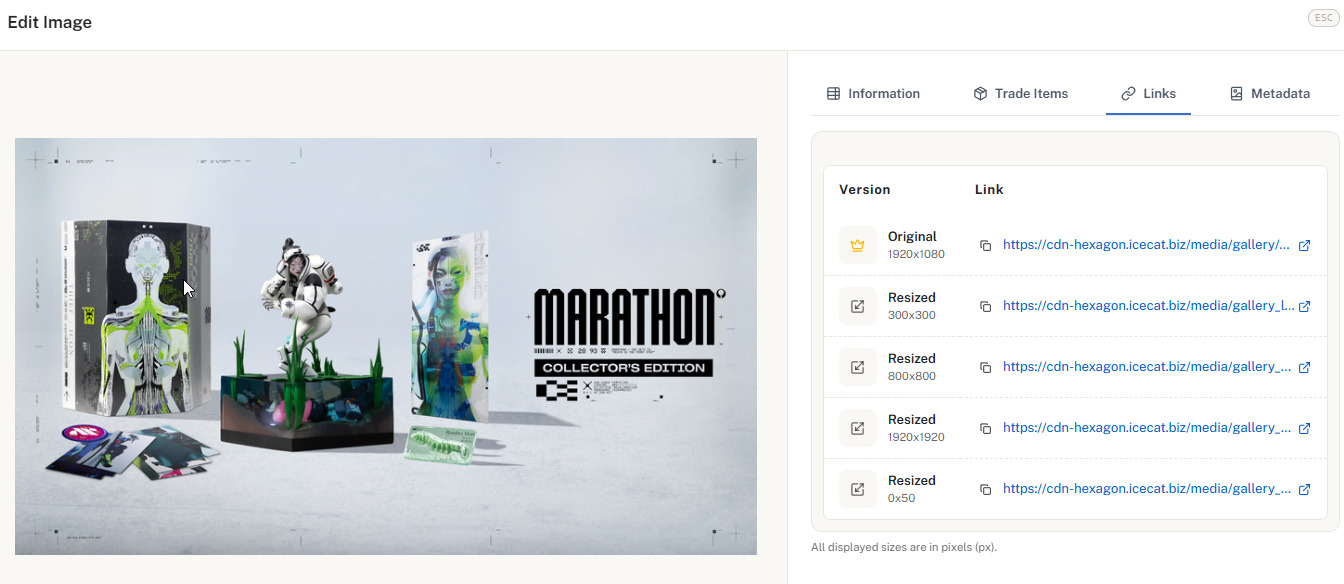 Screenshot of tab Links into DAM feature